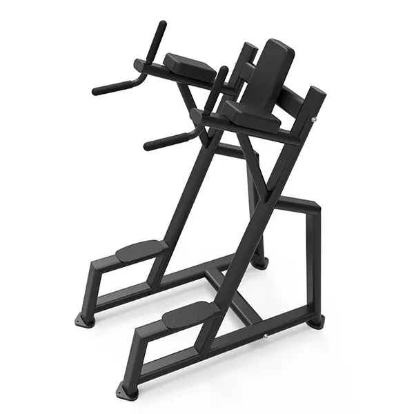 Gym Chin-Up Bench